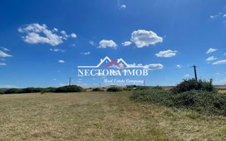 NECTORA IMOB-Teren Zona Osorhei, 5500 mp, 21 ml Front, 210 ml adancime - Poză 2