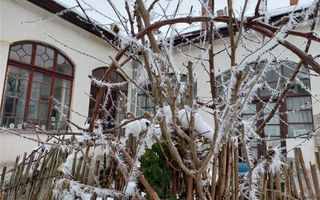 BRASADAS vinde casa 6 cam 220mp 8 ari in zona CENTRALA. - Poză 3