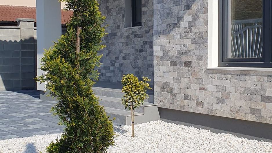 Casa individuala Dumbravita - Pădure - Poză 20