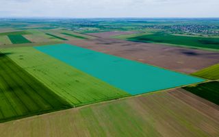 Teren de 5Ha în Satchinez. - Poză 1