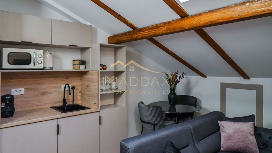 Proprietate ideala pentru investitie *354mp* inchiriata pe 6 ani // Cismigiu - Poză 111