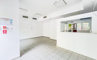 Str Barca | Rahova | Petre Ispirescu | Vad Exceptional | 80mp | - Poză 7