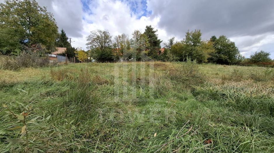 Teren intravilan cu Puz si priveliște deosebită, spre Cetatea Cisnădioara - Poză 10