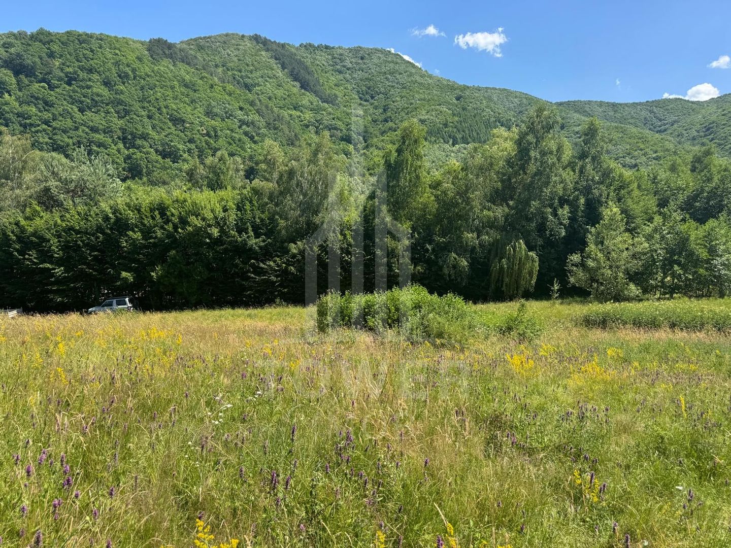 Teren intravilan 4600mp - 55 EUR/mp - EXCLUSIVITATE CISNADIOARA - COMISION 0% - Poză 9