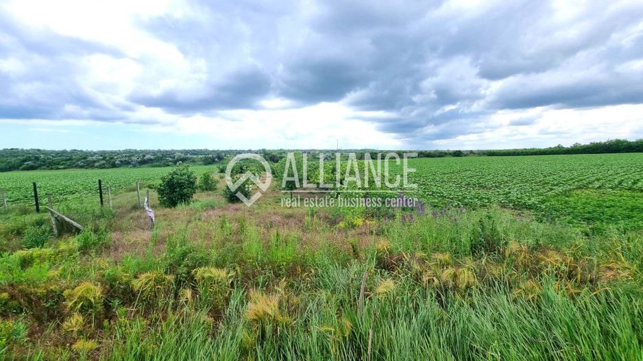 OVIDIU (COD 02)  - teren extravilan 4000 mp - Poză 2