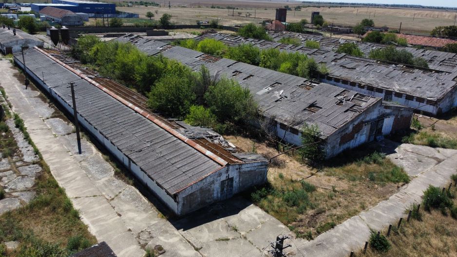 Spațiu industrial -fermă Orțișoara - Poză 13