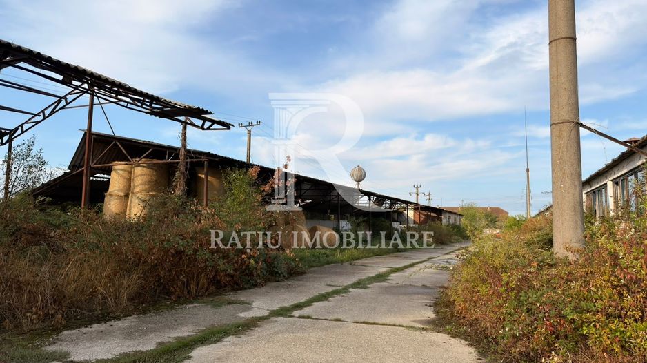 Fermă Sărand | Bihor | 25.659 mp teren intravilan - Poză 26