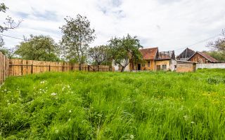 Casa traditionala + 8.500 mp teren, intravilan, Sinca Noua, Brasov - Poză 2