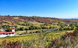 14Ha podgorie, livada pomi fructiferi, si conac 3000mp - Poză 5