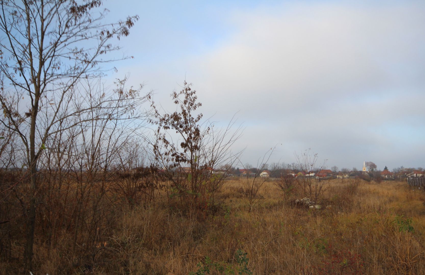 Teren 39.500 mp  Freidorf - Poză 3