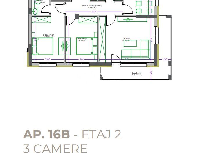 ROKMAN Tiberiu Eremia 12 - Poză 13