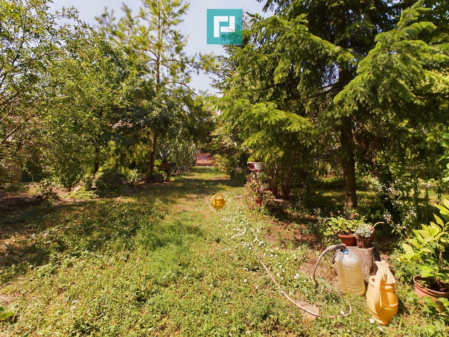 Casă cu livadă de pomi în Dorobanți - Poză 22