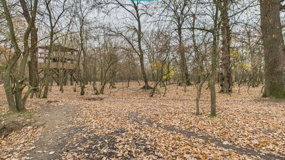 Teren pe malul Muresului- oportunitati multiple - Poză 26