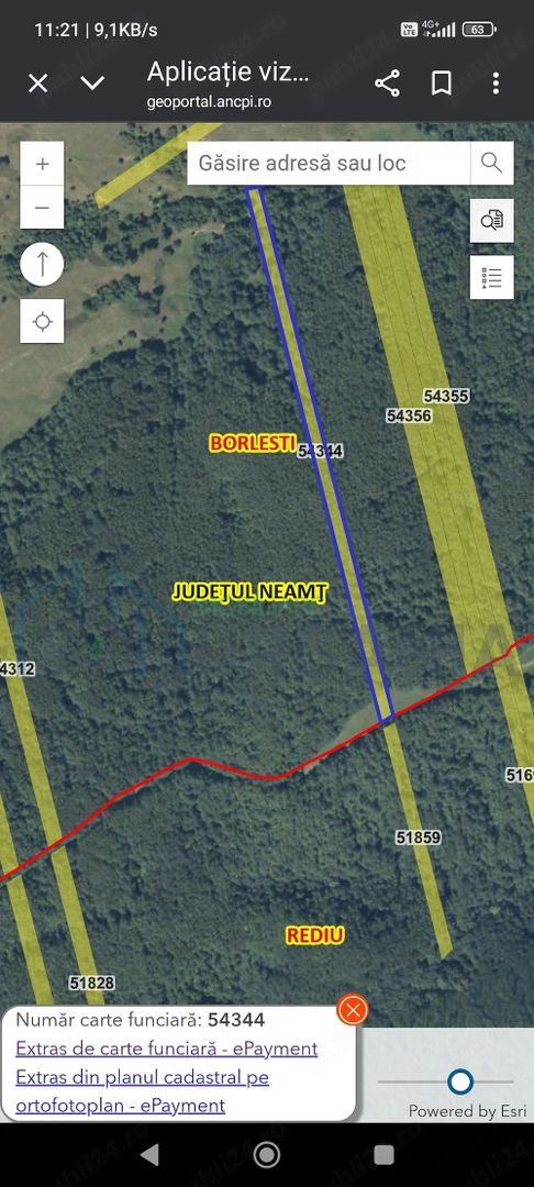 Teren forestier de vânzare, 1 ha, județul Neamț, comunele Rediu Borlești, OS Tazlău - Poză 1