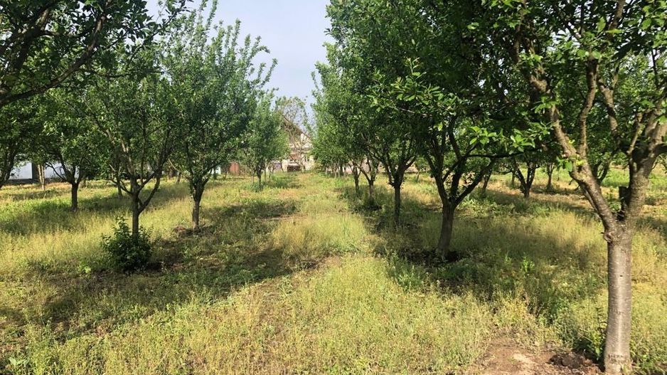 Casa de vanzare in loc. Crucisor - Poză 6