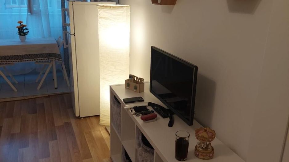 Garsoniera zona Costin Georgian - Lucretiu Patrascanu - Poză 9