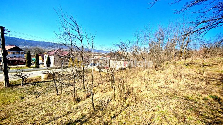 Casă cu teren generos în Dârmănești, Argeș-ideală pentru locuința sau afacere - Poză 16