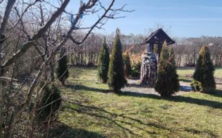 BRASADAS vinde casa cu teren 10 ari in zona Odoreului. - Poză 5