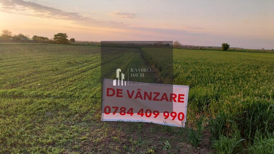 DÂRZA - TEREN INTRAVILAN - Poză 4