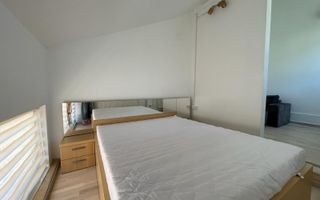 Apartament open-space tip loft , Grigorescu, pet-friendly - Poză 5