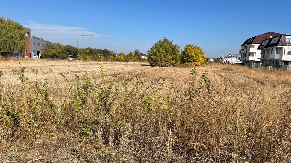 Teren 7714 mp Otopeni stradal - ideal investiție - Poză 2