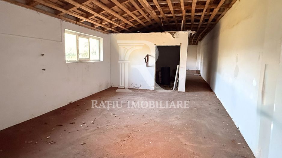 Casă cu Hală Industrială | Teren 3.200 mp | Ineu | Bihor - Poză 23