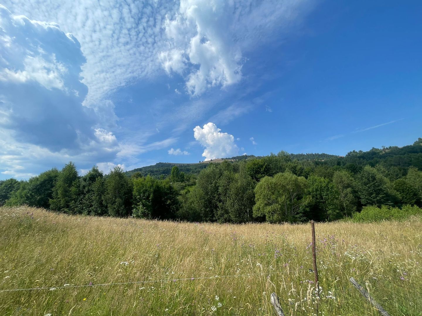 Teren intravilan I Loc deosebit, inconjurat de padure I Vladeasa - Poză 3