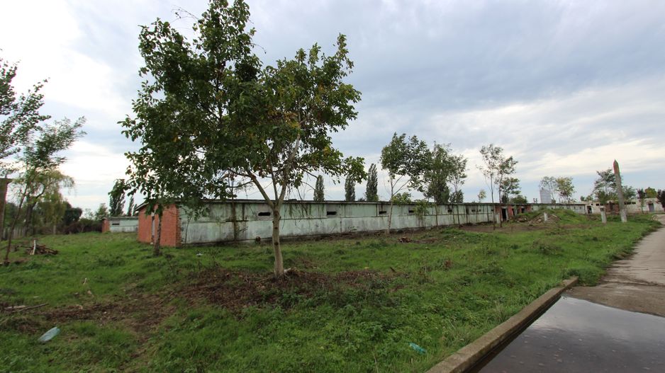 Vanzare hale Mosnita Noua-fosta Ferma 7 - Poză 2