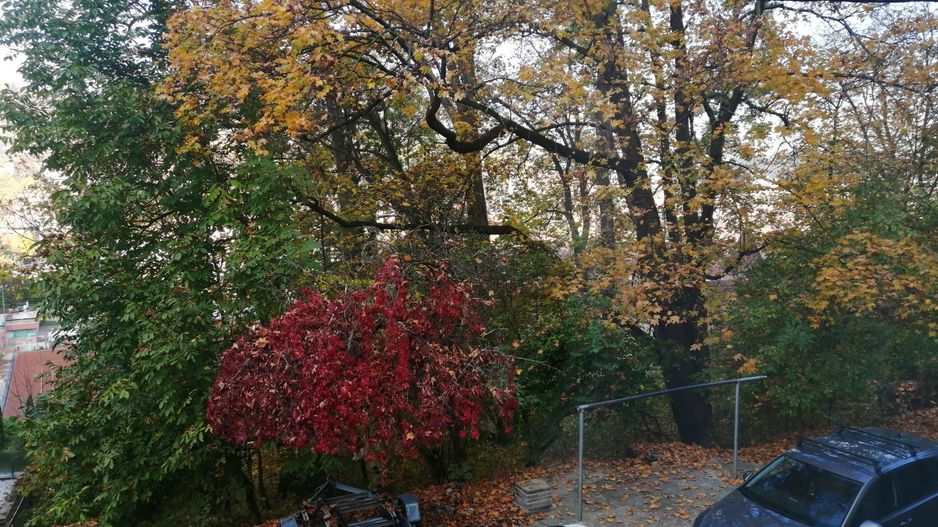 Casa zona Centru istoric - Poză 15