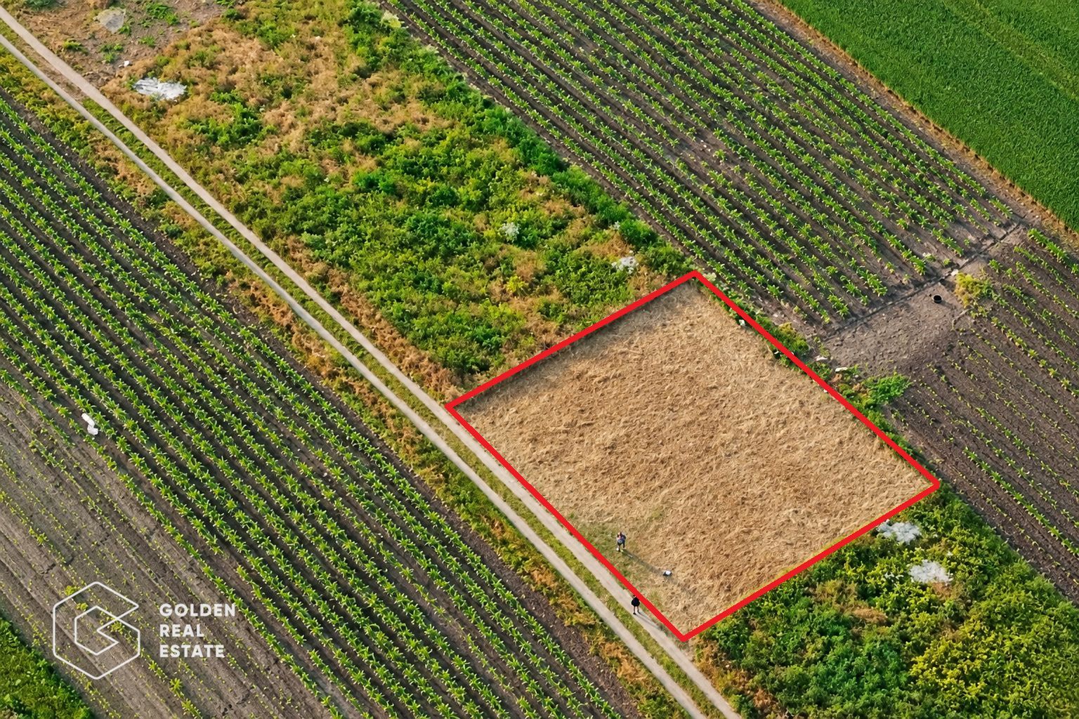 Teren 400 mp cu proiect casa, Sanpaul - Poză 2