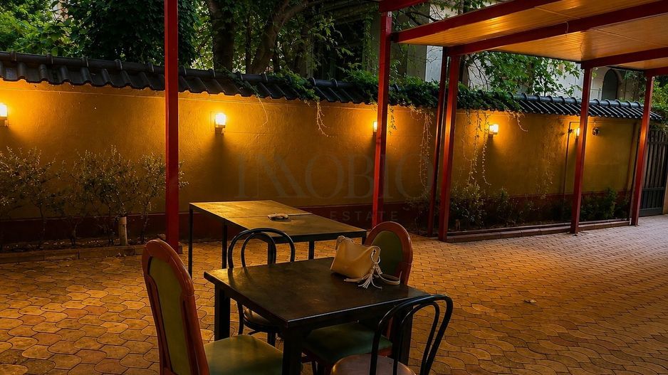 LOCAȚIE RESTAURANT CONSACRATĂ | PACHE PROTOPESCU - Poză 2