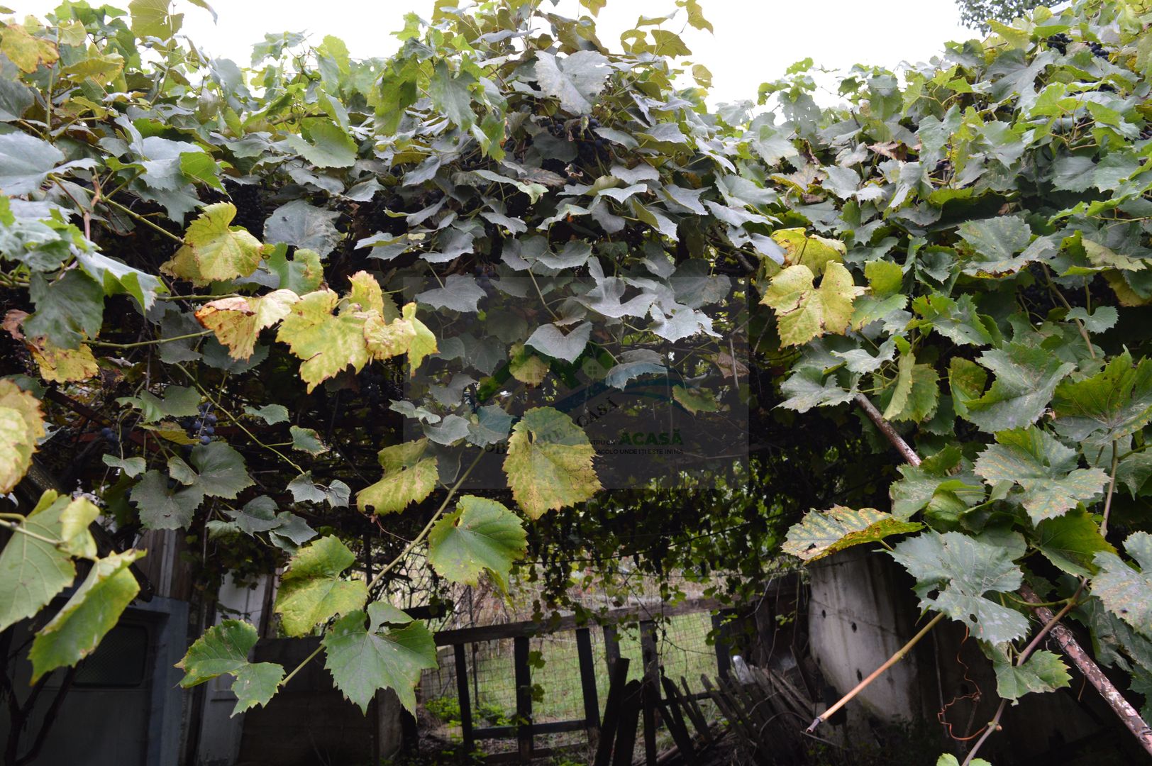 Casă de vânzare în Sfântu Ilie și teren 2000 mp - Poză 43