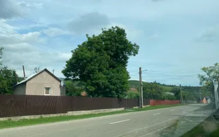 Domeniu 15.900 mp în Fințești | Casă + Investiție Dealu Mare - Poză 20