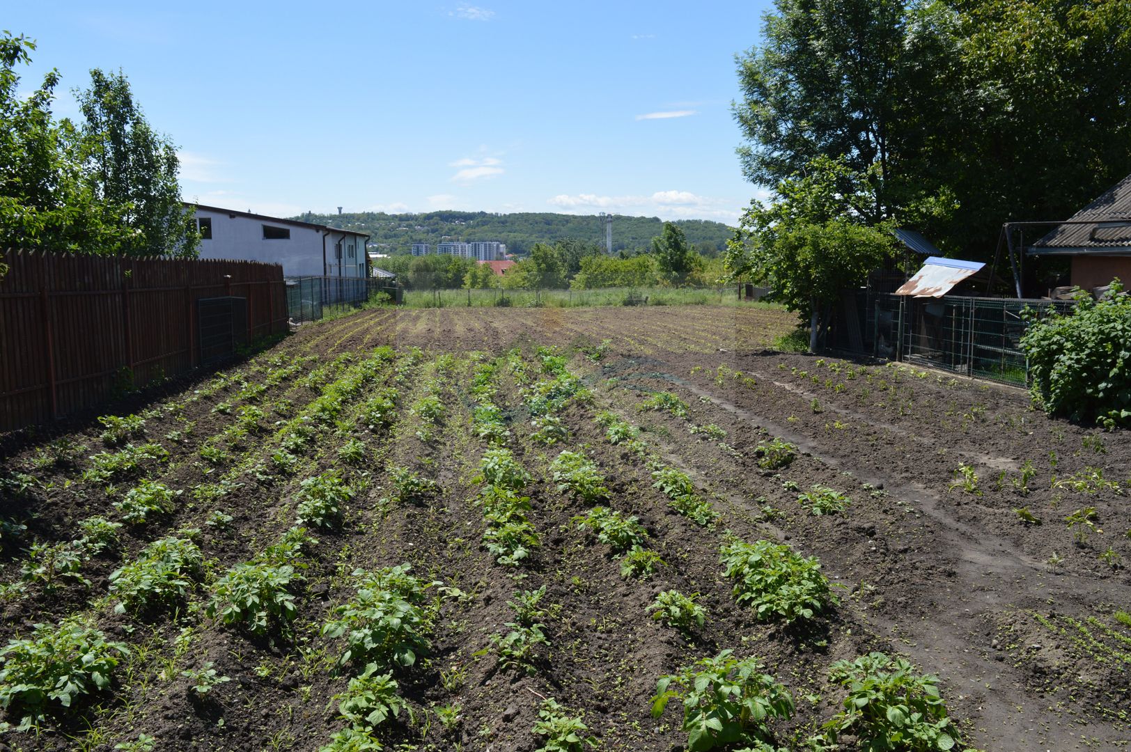 Casa/Spatiu comercial Burdujeni/ Suceava - Poză 25