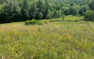 Teren intravilan 4600mp - 55 EUR/mp - EXCLUSIVITATE CISNADIOARA - COMISION 0% - Poză 10