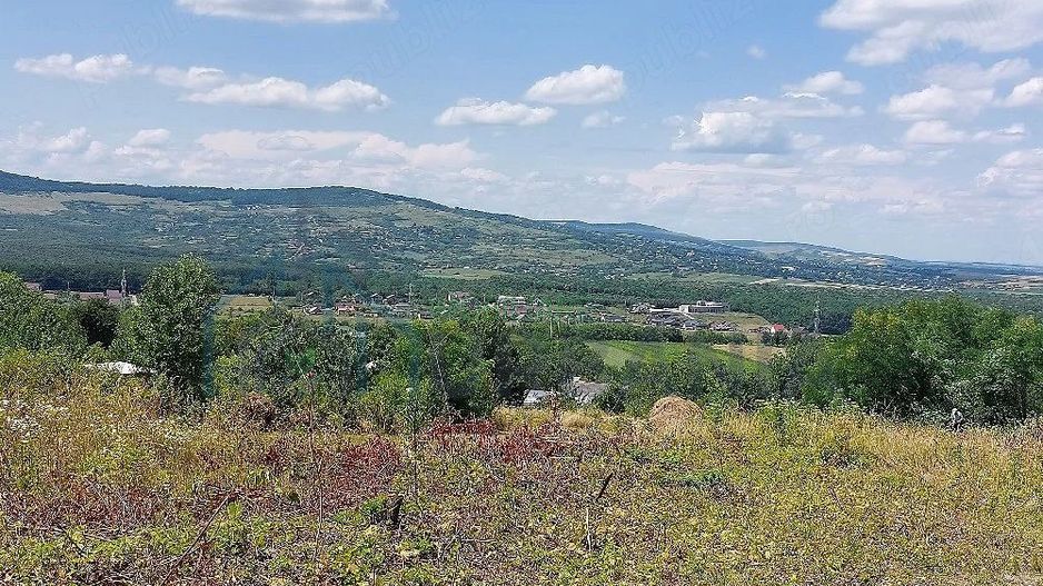 Teren intravilan, Curaturi, comuna Ciurea, 6310 mp - Poză 1