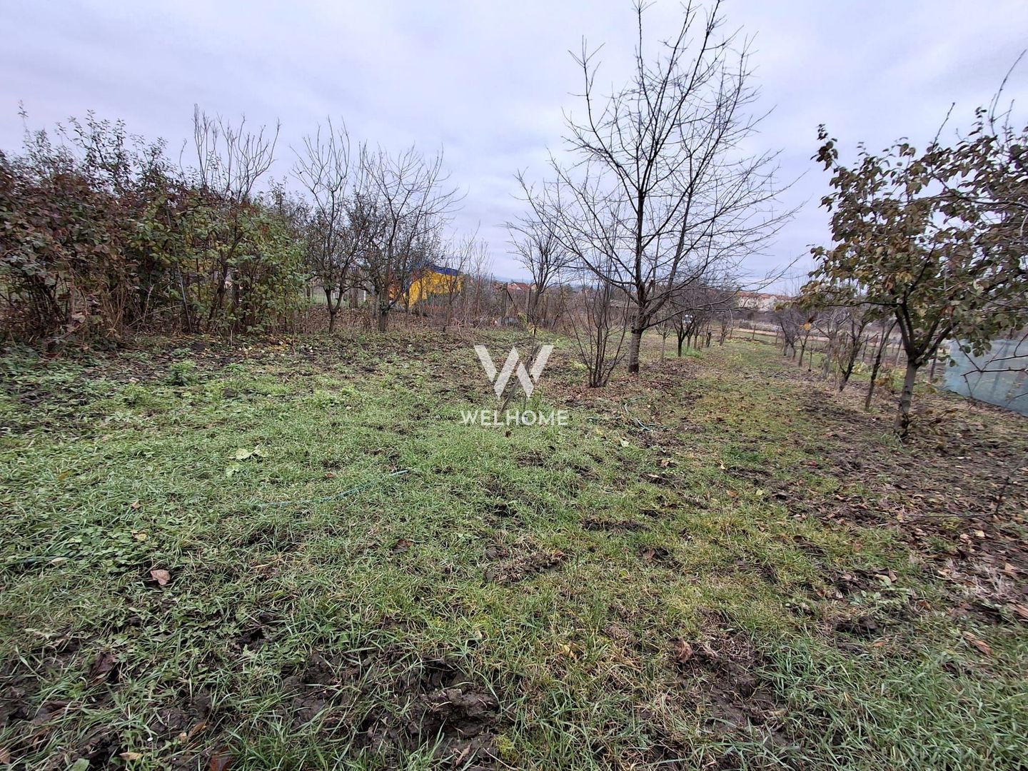 Casa individuala de vanzare in Sibiu, Gusterita - Poză 2