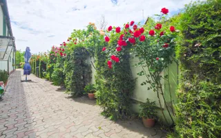 Proprietate Comercială Exclusivistă Șos. Alexandriei + 1.160 MP Teren - Poză 34