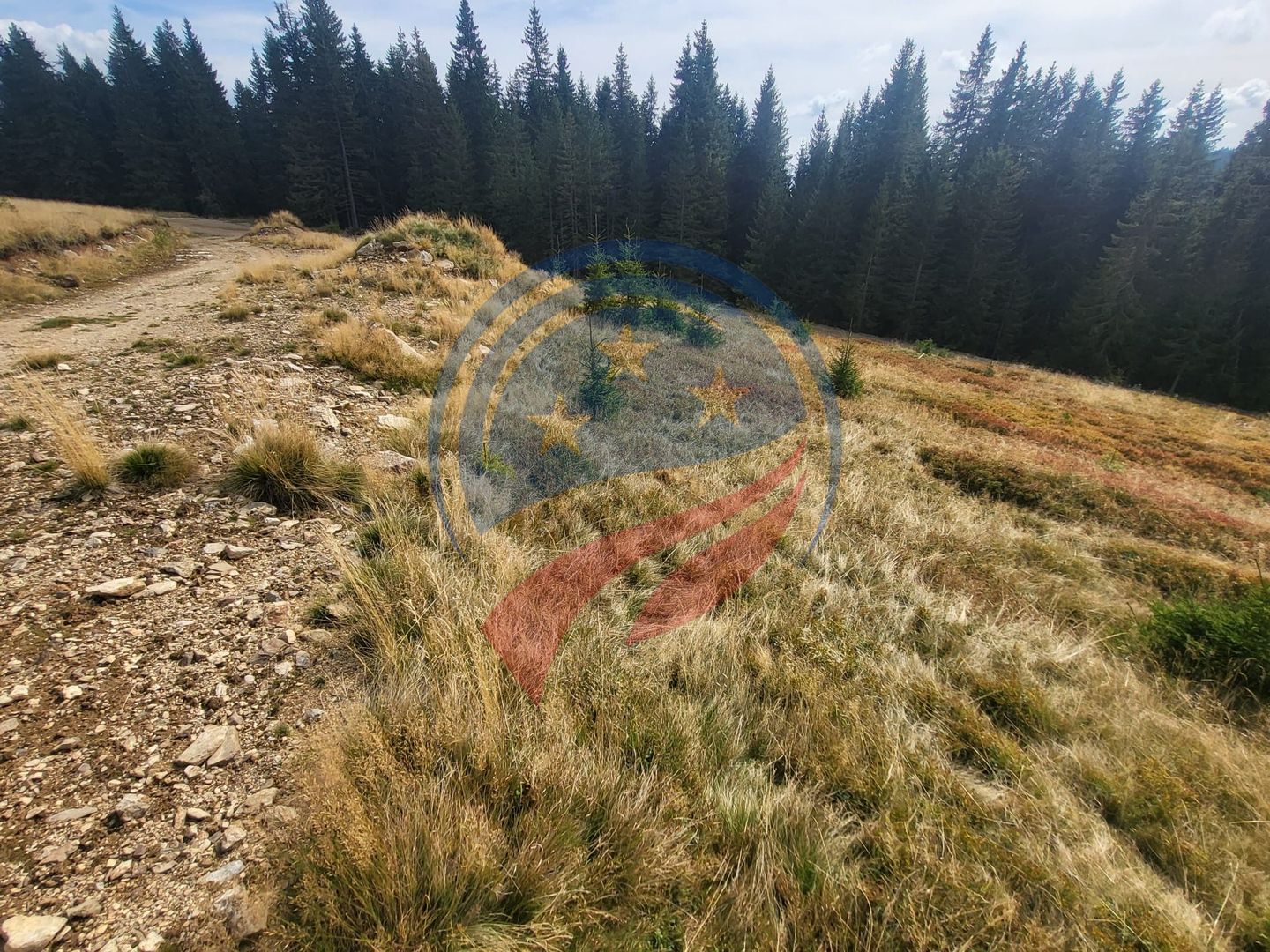 Teren de vanzare in Horezu/Bolca Pietrele Scrise/Valcea - Poză 6