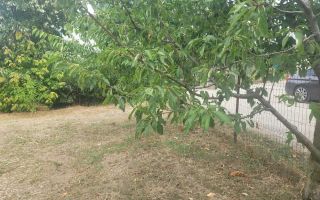 Teren intravilan de 762 mp în Breazu, ideal pentru construcția unei case - Poză 3