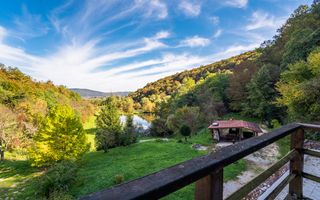 Domeniu în satul Căprioara - Poză 18