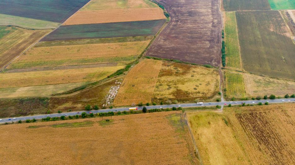 Teren de 19798mp în Zimandu Nou - Poză 7