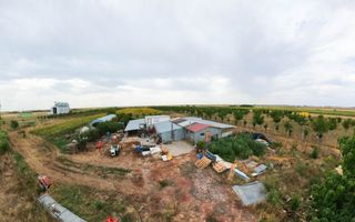 Livadă de 3,6 hectare în Iratoșu – Oportunitate - Poză 7