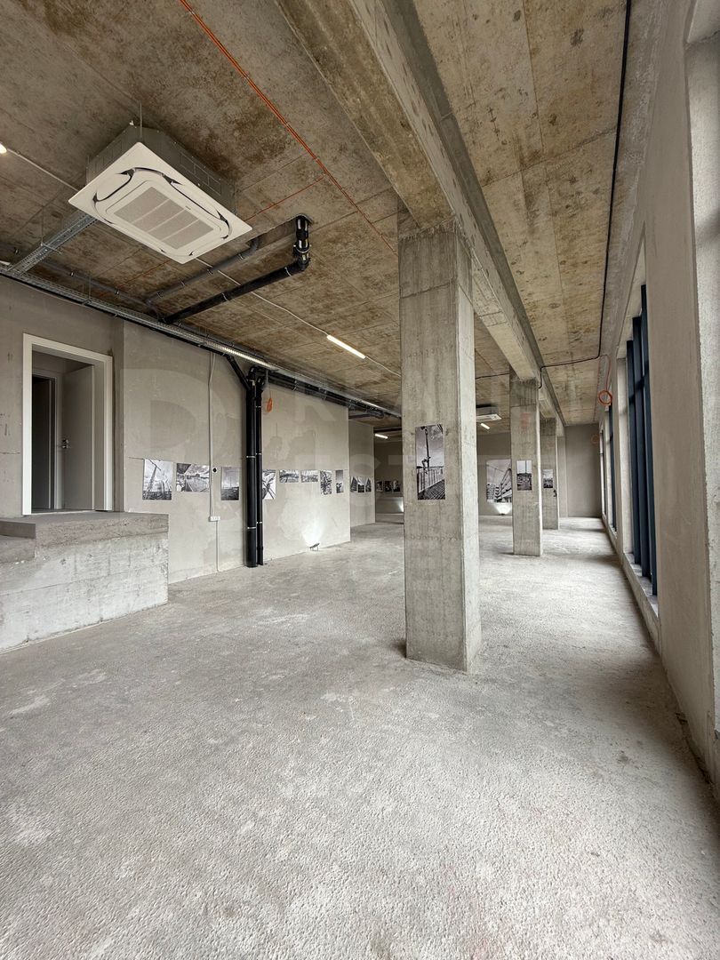 Vânzare, spațiu comercial, 245 mp, Torontal, Timișoara - Poză 13