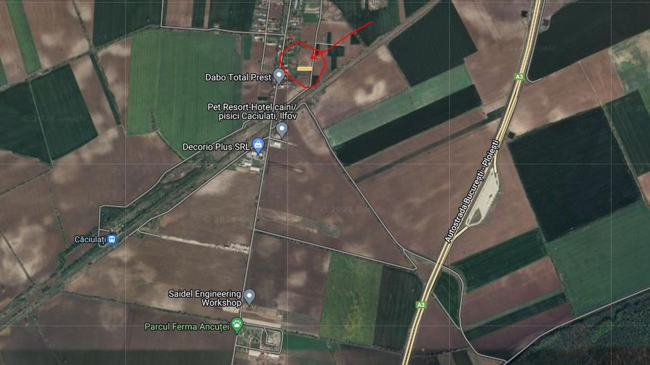 1500 mp Intravilan, Caciulati, acces rapid autostrada A3 - Poză 3