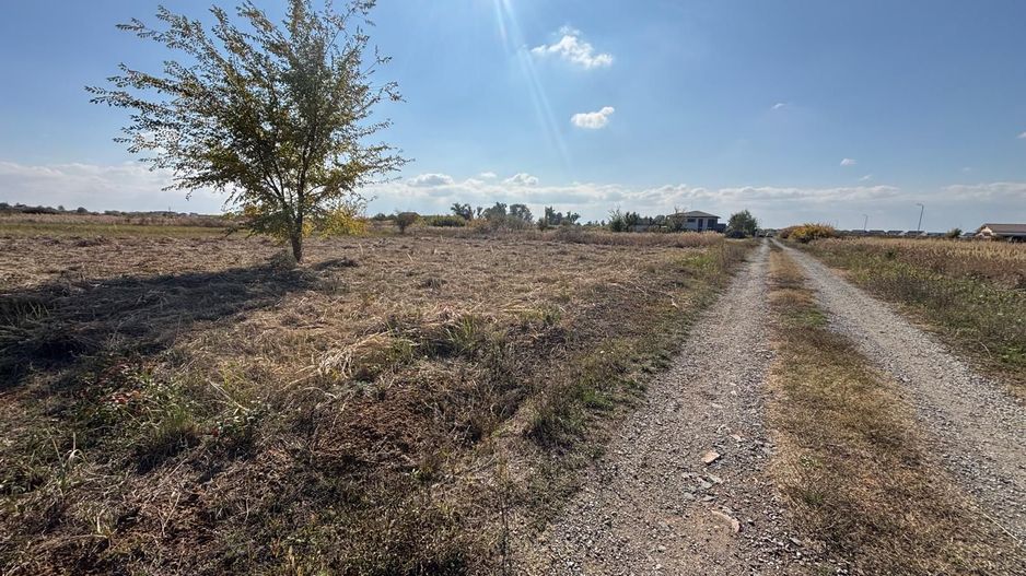 Teren Mosnita NOua 780 mp posibilitate duplex - Poză 5