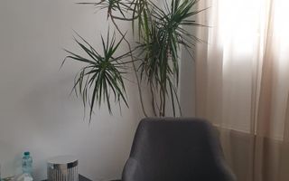 Spatiu Astra - Poză 5