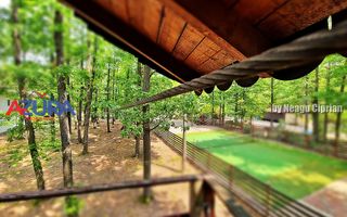 Casă de vacanță în pădure, 10 km de Pitești - Babana - Poză 7