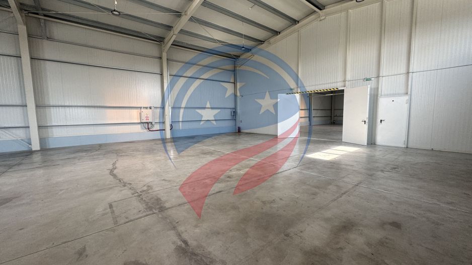 Hala in zona FORD 300-600 mp - Poză 6