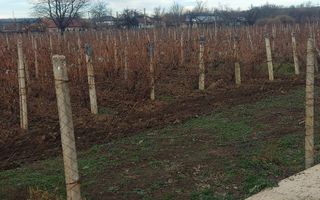 Teren/Loc de casa/Tamboesti - Poză 1